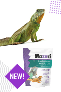 21 Maz 0270 Publishersponsoredcontent 062921 V1 01