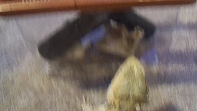 3a0e13ca22094be7a3a7a5b8636d5663