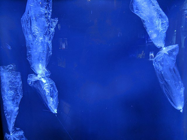 640px Plastic Bag Jelly Fish
