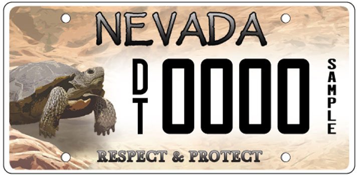 Desert Tortoise License Plate