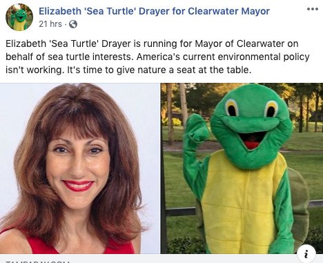 Elizabeth Sea Turtle Drayer