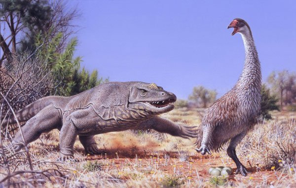 Megalania Peter Trusler600