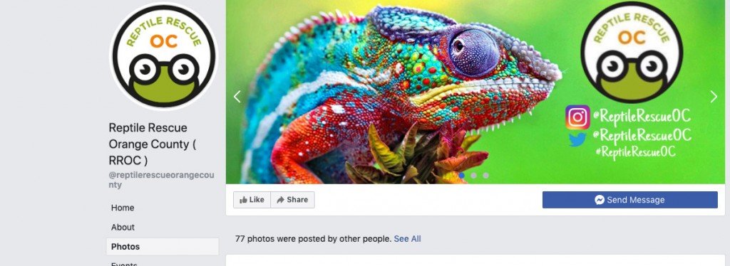 Reptile Rescue Orangecounty