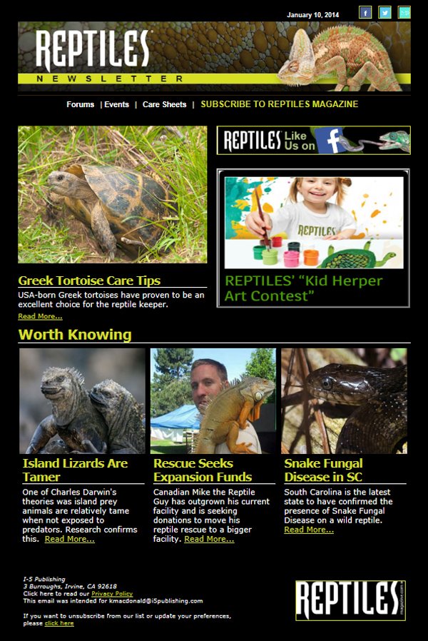 Reptiles Newsletter Sample