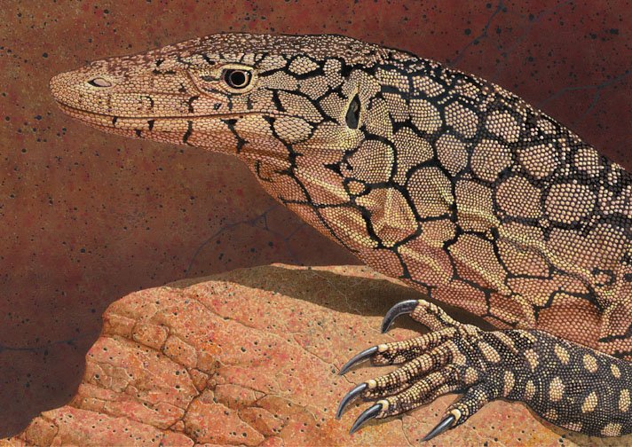 Wildlife Artist Tell Hicks11