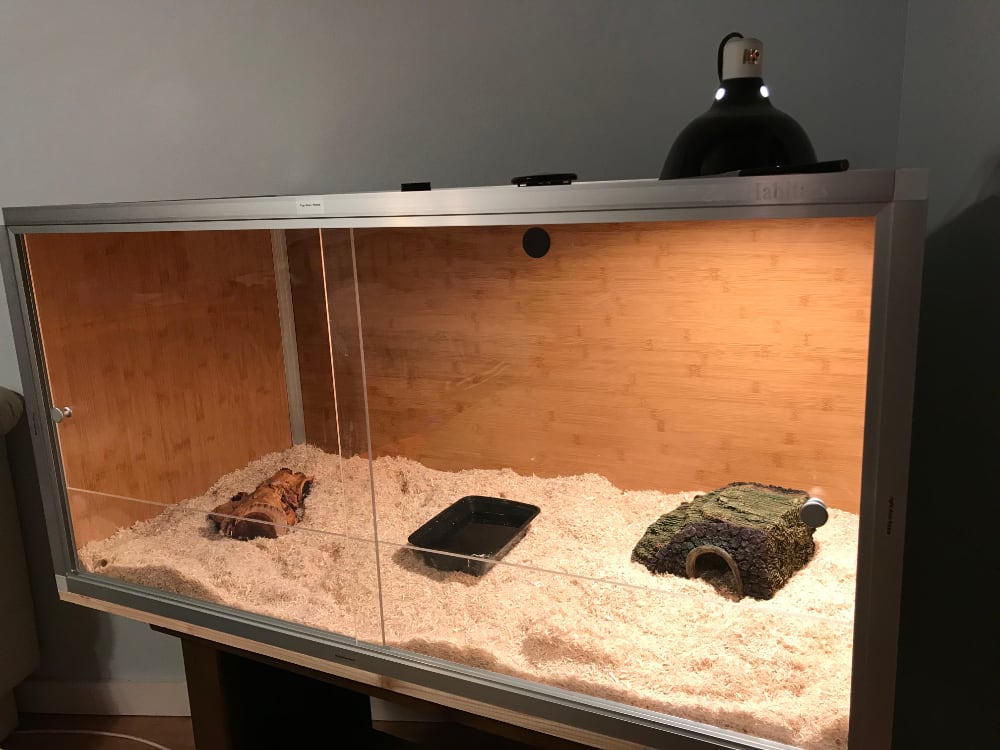 Zen Habitats4x2x2 Reptile Enclosure