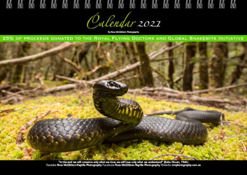 Ross Mcgibbon Calendar2021