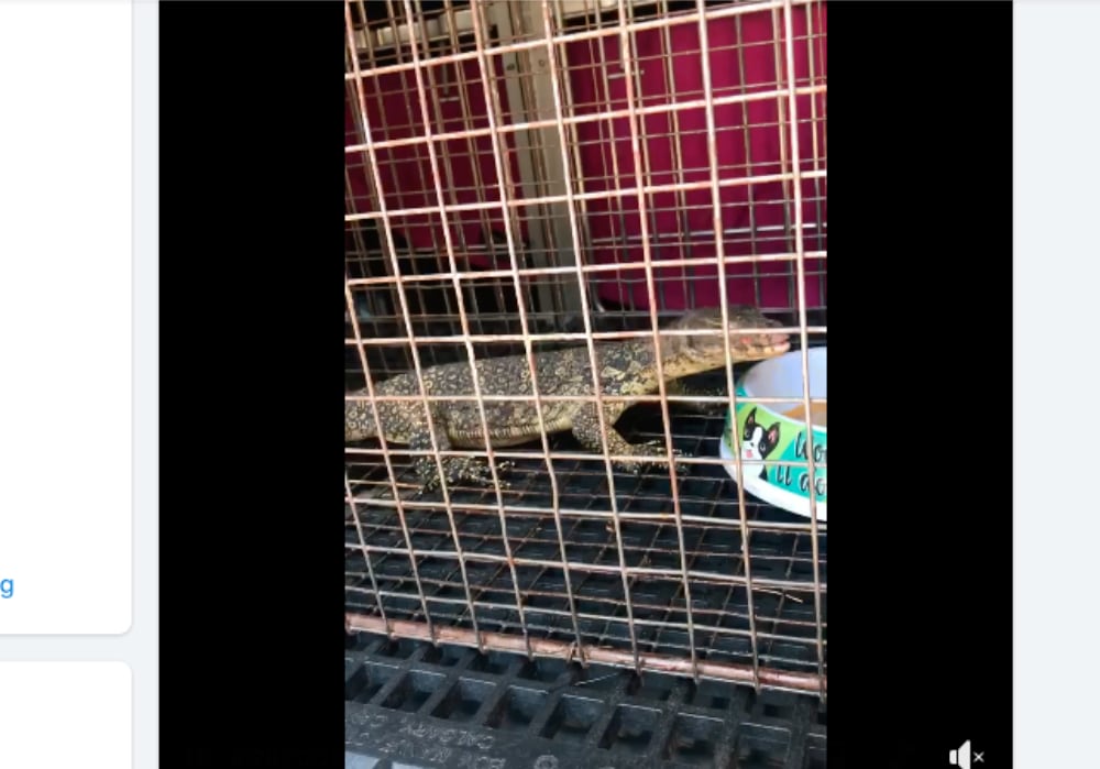 Bonner Springs Water Monitor