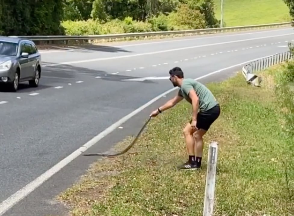 Brent Staker Removes Snake From Road