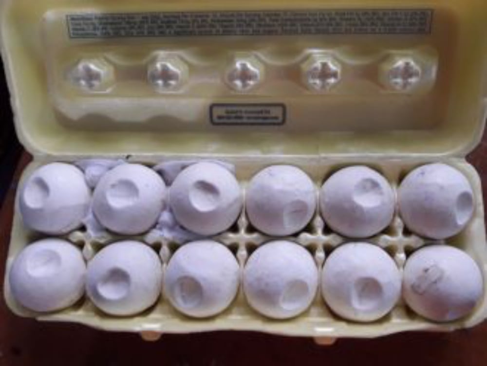 Decoy Eggs