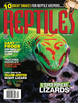 Current Issue
