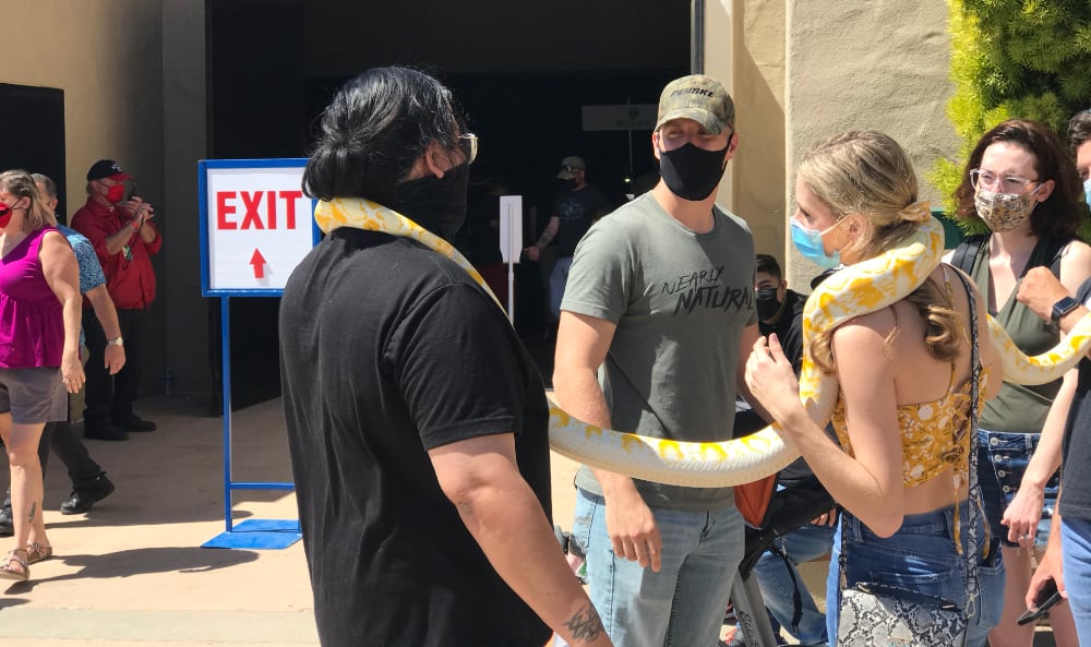 Reptilian Nation Expo