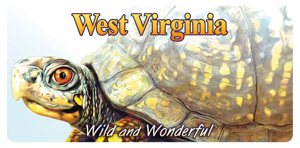 Wvdnr License Plate