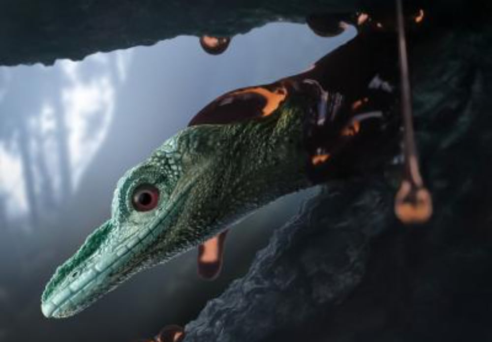 Oculudentavis Naga