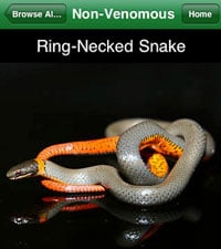 Tx Snakes 200
