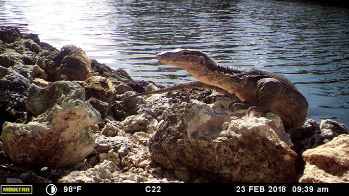 Asianwater Monitor