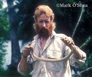 Mark Oshea