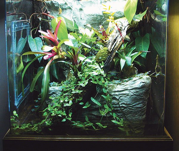 Reptile Enclosure8