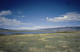 Toad Conservation Lake