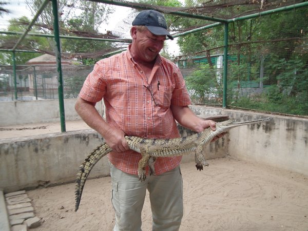 Gharial17