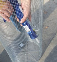Chameleon Cage 7
