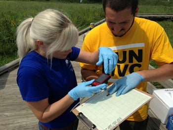 Wsu Frog Chytrid350