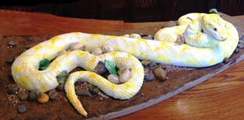 Snakecake350