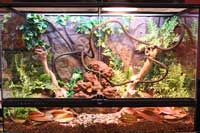 Plants Searcy 2 200