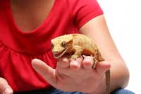 Petsinclassroom200