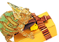 Reptile Gift 200