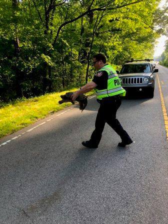 Durhampd