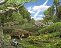 Obamadon Gracilis200