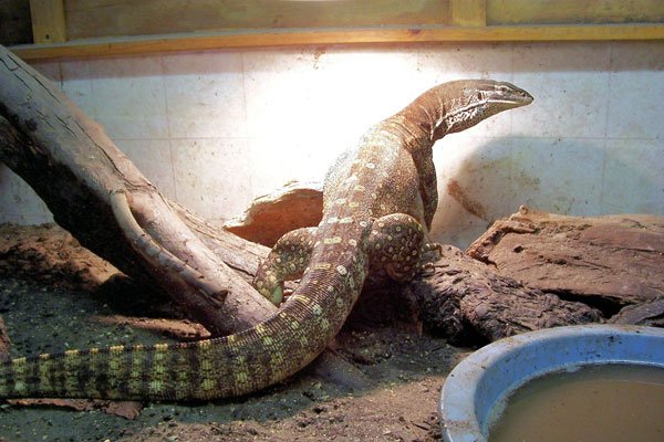 Argus Monitor