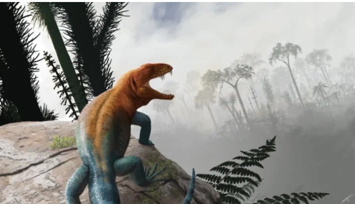 Carbonodraco Lundi