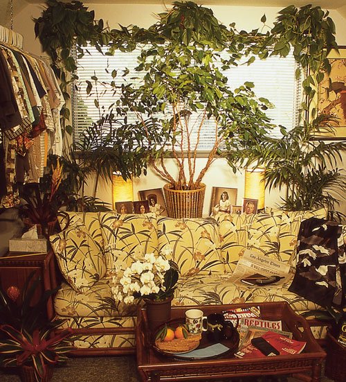 Chameleon Habitat 500