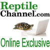 Rc Online Ex