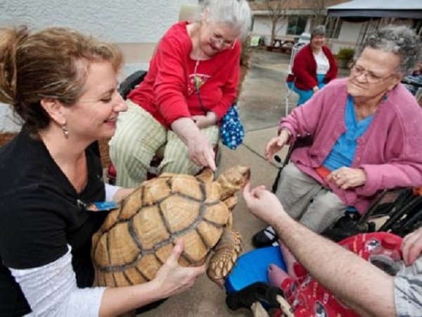 Shelly Senior Center