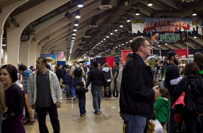 Crowds Reptileshow712