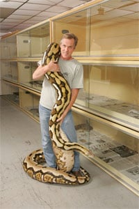 Fluffy The Python 3 200