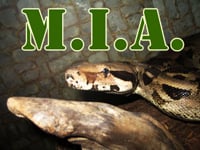 Missing Snake 200