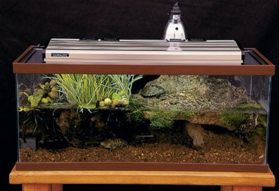 Vivarium2