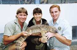 Steve Irwin
