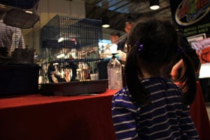 Pomona Reptile Supershow