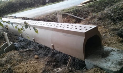 Frog Tunnel
