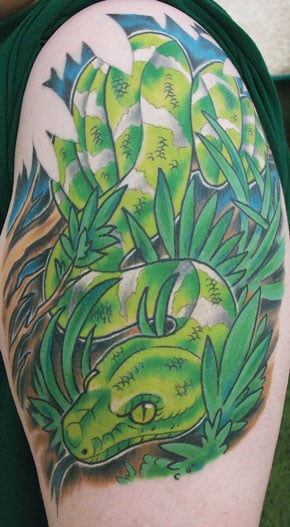 Tat1