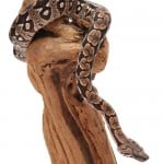 Dumerils Boa