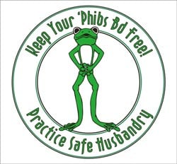 Amphibian Logo
