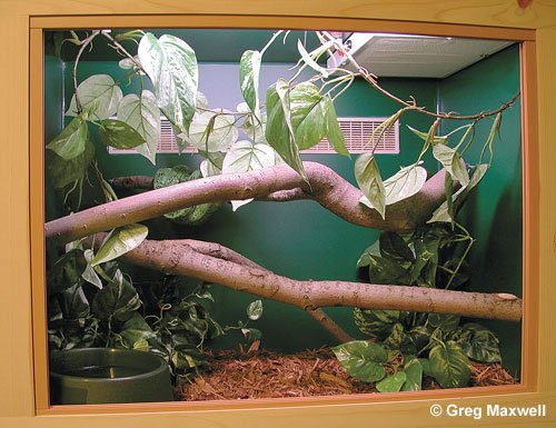 Gtp Cage 500