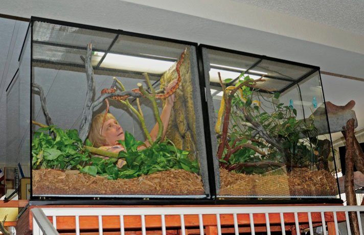 corn snake enclosures