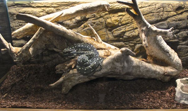 naturalistic display cage